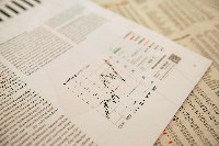 Stock Market